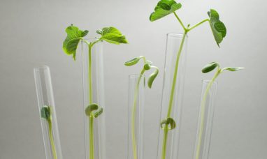 Cannformatics and Dr. Laszlo Mechtler Announce Inten...