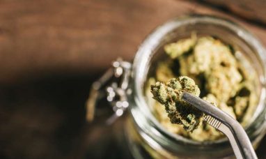 Aurora Announces Distribution Partnership with Leafi...