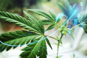 Presidential Executive Order Validates DeFloria’s Strategy in Pharmaceutical Cannabinoid Drug Development