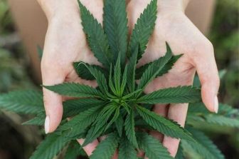 Mamba Brand CEO Dino Awadisian Calls for National Hemp Accountability