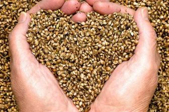 Grown Rogue Secures Cultivation Facility in Minnesota