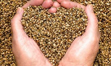 Grown Rogue Secures Cultivation Facility in Minnesota
