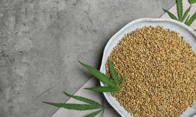 Dark Horse Cannabis Marks First Harvest at Richmond,...