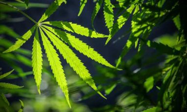 NOWADAYS APPOINTS CHRISTOPHER FORSTER-SMITH AS DIREC...