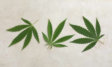 Independent Proxy Advisory Firms, ISS and Glass Lewi...