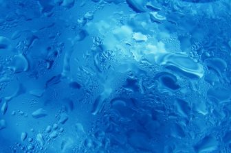 BioArctic Interim Report for the period October – December 2025