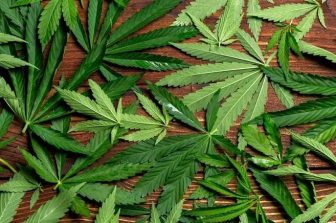 MTL Cannabis Announces Shareholder Approval of Arrangement with Canopy Growth