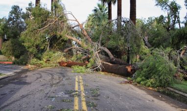 Mōrea Water Park Intends to Host the Athletes’...