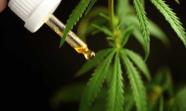 A First for Cannabis: Jane Gold Puts $1 Million Back...
