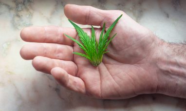 Aurora to Ring the Nasdaq Closing Bell on Wednesday,...