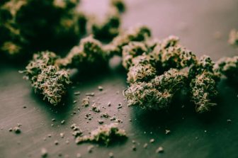 High Profile Cannabis Opens New Luna Pier, Michigan Dispensary Minutes from Toledo, Ohio