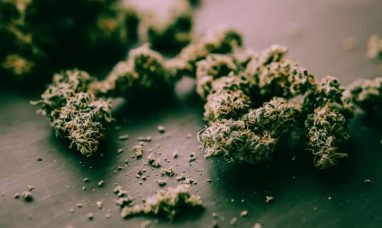 High Profile Cannabis Opens New Luna Pier, Michigan ...