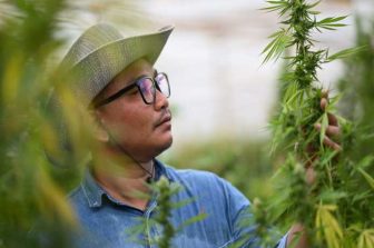 Everyday Marijuana Mistakes That Could Lead to Criminal Charges | Marijuana Defense Attorneys, Wichita
