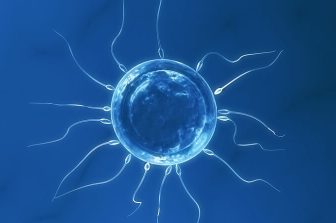 Lundbeck appoints Chief AI Officer
