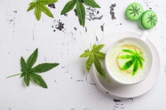 The City Never Sleeps on 420: Inside Travel Agency’s New York-Driven 420 Campaign