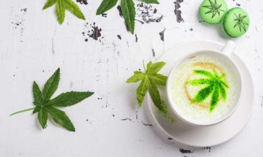 The City Never Sleeps on 420: Inside Travel Agency&#...