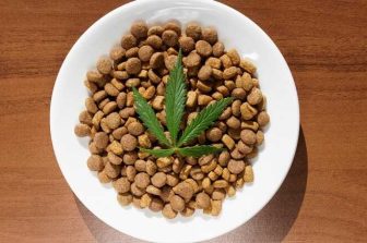 ATACH Releases Comprehensive Report on the Future of Hemp