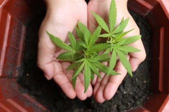 Planted Provisioning Welcomes Northfield Township Approval of Extended Cannabis Delivery Hours