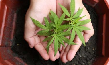 Planted Provisioning Welcomes Northfield Township Ap...