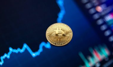Project Eleven Awards 1 BTC Q-Day Prize for Largest ...