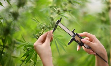 Curaleaf Bolsters Florida Footprint with Two New Med...