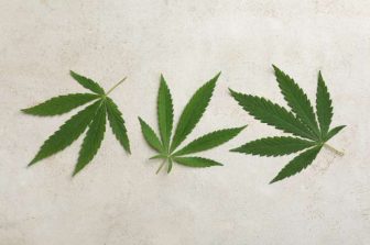 In HelloNation, CBD Expert Will Kleidon of Ojai, CA, Shares How to Integrate Water-Soluble CBD into Daily Life