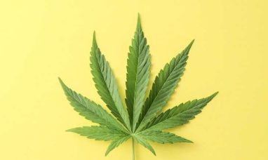 Patient First Coalition Supports DEA’s Medical...