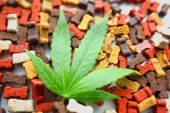 Klutch Cannabis Announces Acquisition and Grand Opening of Columbus Recreational Marijuana Dispensary; Sale of Loudonville Dispensary