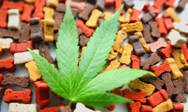Klutch Cannabis Announces Acquisition and Grand Open...