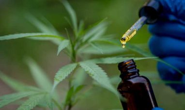 Humboldt Seed Company and Marley Family Launch Two N...