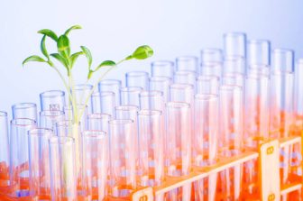 Marvel Biosciences Reports Positive Preclinical Data Demonstrating MB-204 Reverses Behavioural and Cognitive Deficits in a Mouse Model of Fragile X