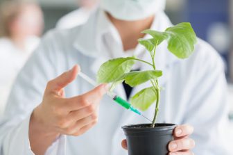 Vivoryon Therapeutics N.V. Reports H1 2026 Financial Results  and Provides Business Update